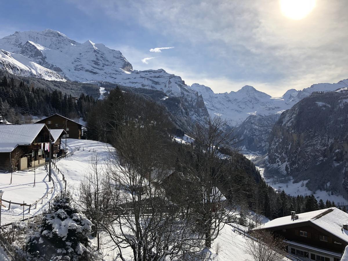 Chalet Bergkristall Wengen Exterior foto